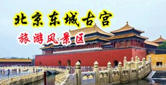 胖人中出操逼视频中国北京-东城古宫旅游风景区